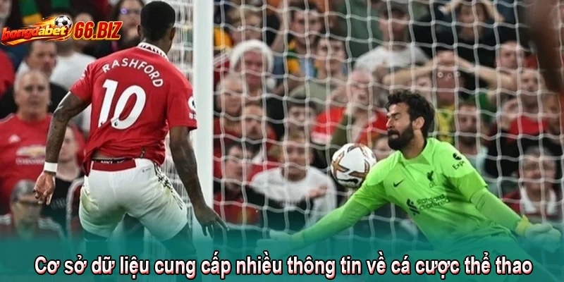 Cơ sở dữ liệu cung cấp nhiều thông tin về cá cược thể thao